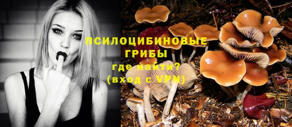 ПСИЛОЦИБИНОВЫЕ ГРИБЫ Богданович