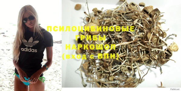меф Белокуриха