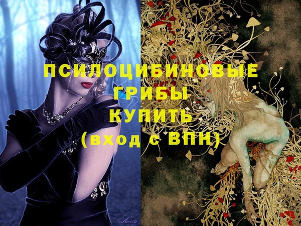 трава Беломорск
