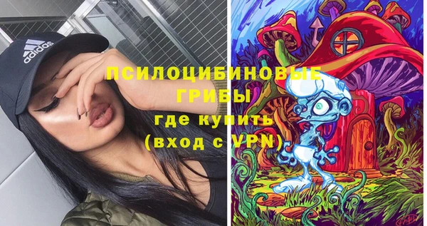 бошки Богородск