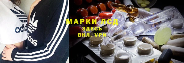 ПСИЛОЦИБИНОВЫЕ ГРИБЫ Богданович